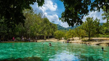 Emeral Gölü Mavi Havuz Krabi Tayland Mangrov Ormanı Krabi Tayland. 