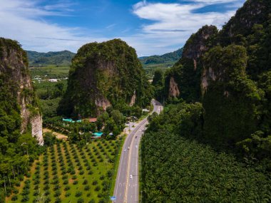 Palmiye ağaçları ve Krabi Tayland 'daki kireçtaşı dağları arasındaki trafiğin olduğu güzel bir yol, palmiye ağaçları arasındaki yol.