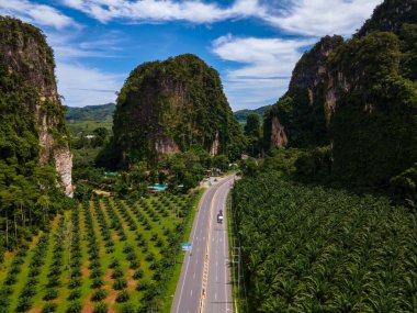 Palmiye ağaçları ve Krabi Tayland 'daki kireçtaşı dağları arasındaki trafiğin olduğu güzel bir yol, palmiye ağaçları arasındaki yol.