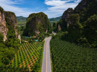 Palmiye ağaçları ve Krabi Tayland 'daki kireçtaşı dağları arasındaki trafiğin olduğu güzel bir yol, palmiye ağaçları arasındaki yol.