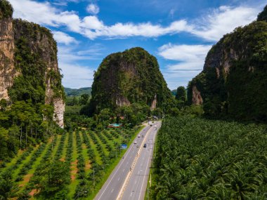 Palmiye ağaçları ve Krabi Tayland 'daki kireçtaşı dağları arasındaki trafiğin olduğu güzel bir yol, palmiye ağaçları arasındaki yol.