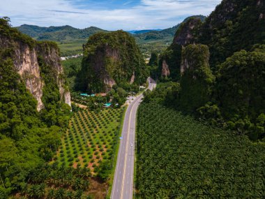 Palmiye ağaçları ve Krabi Tayland 'daki kireçtaşı dağları arasındaki trafiğin olduğu güzel bir yol, palmiye ağaçları arasındaki yol.