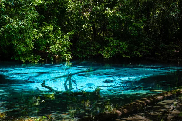Lago Esmeralda Piscina Azul Krabi Tailandia Bosque Manglares Krabi Tailandia — Foto de Stock