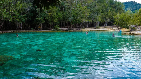 Lago Emeral Piscina Blu Krabi Thailandia Foresta Mangrovie Krabi Thailandia — Foto Stock