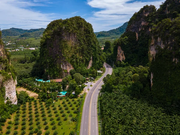 Palmiye ağaçları ve Krabi Tayland 'daki kireçtaşı dağları arasındaki trafiğin olduğu güzel bir yol, palmiye ağaçları arasındaki yol.