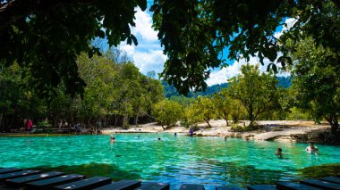 Zümrüt havuz, mavi havuz, ağaçlar ve kristal berrak suyla kaplı mangrovlar Tayland, Krabi eyaletinde..