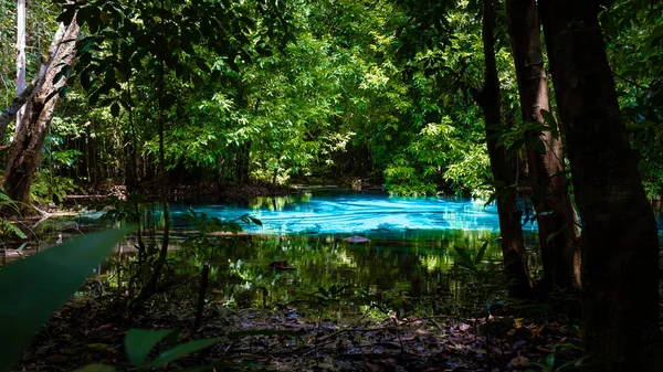 Szmaragdowy Basen Niebieski Basen Drzewa Namorzyny Krystalicznie Czystą Wodą Szmaragdowym — Zdjęcie stockowe