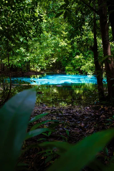 Emerald pool and Blue pool, trees, and mangroves with crystal clear water in Emerald Pool in Krabi Province, Thailand.