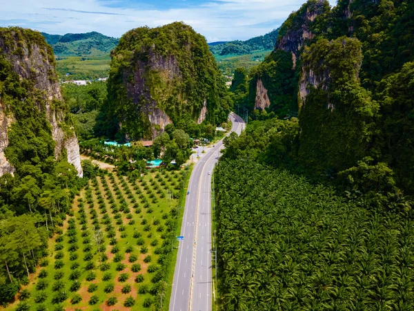泰国Krabi公路和棕榈油种植园的空中景观 泰国棕榈树棕榈油种植园 在有棕榈树的路上俯瞰 — 图库照片