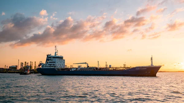 Rotterdam Netherlands June 2020 Oil Harbor Chemical Carriers Port Rotterdam — Stock Fotó