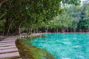 Emerald Gölü Mavi Havuzu Krabi Tayland mangrov ormanı Krabi Tayland. Genç Asyalı kadın ve Avrupalı erkekler gölde