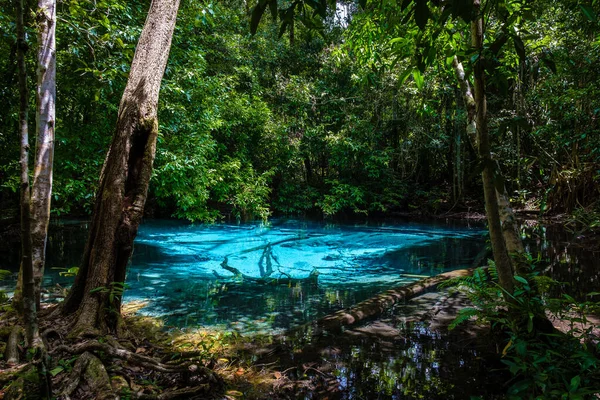 Emeral Lake Błękitny Basen Krabi Tajlandia Namorzynowy Las Krabi Tajlandia — Zdjęcie stockowe