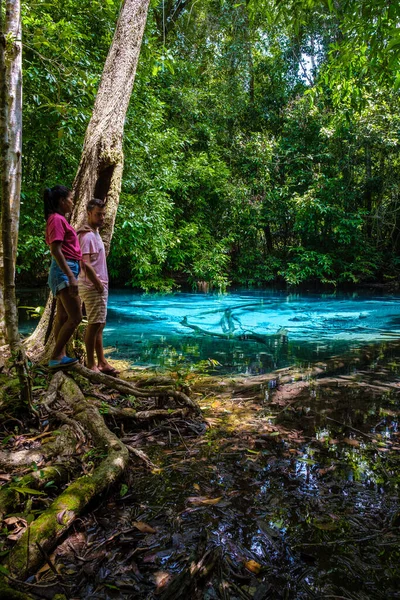 Szmaragdowe Jezioro Błękitny Basen Krabi Tajlandia Namorzynowy Las Krabi Tajlandia — Zdjęcie stockowe