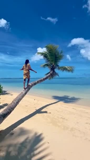 Mahe Seychelles Tropical Beach Palm Trees Blue Ocean Mahe Seychelles — Stockvideo