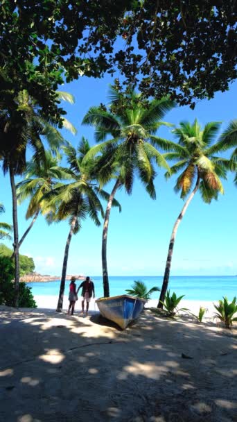 Mahe Seychelles Tropical Beach Palm Trees Blue Ocean Mahe Seychelles — Vídeos de Stock
