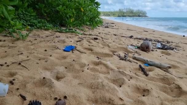 Plastic Waste Beach Phuket Thailand Monsoon Season Waste Ocean Come — Vídeos de Stock