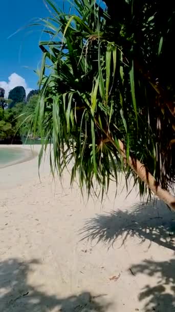 Koh Hong Island Krabi Thaiföld Strand Koh Hong Trópusi Fehér — Stock videók