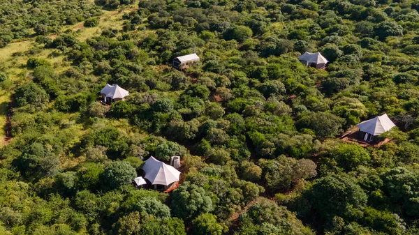 South Africa Kwazulu Natal Luxury Safari Lodge Bush Game Reserve — Stockfoto