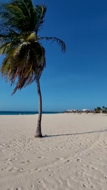 Palm Beach Aruba Aziatische Vrouw Met Hoed Lopend Het Strand — Stockvideo
