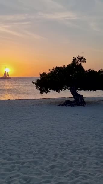 Aruba Tropisch Eiland Zonsondergang Bij Eagle Beach Aruba Divi Dive — Stockvideo