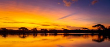 Afrika 'da göl ağaçları ve dağlarla gün batımı Savannah Güney Afrika' da bir göl kenarında. Renkli gün batımı