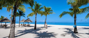 Le Morne plajı Mauritius Tropikal plajı. Palmiye ağaçları, beyaz kum mavisi okyanus ve şemsiyeli plaj yatakları, güneş sandalyeleri ve tropik bir sahildeki palmiye ağacının altında şemsiyeler. Mauritius Le Morne