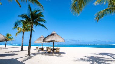 Tropical beach with palm trees and white sand blue ocean and beach beds with umbrellas, sun chairs, and parasols under a palm tree at a tropical beach. Mauritius Le Morne beach