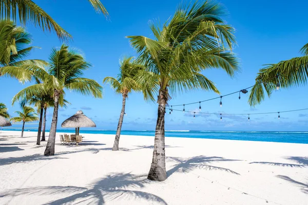 모래와 야자나무가 해변은 르모르네 모리셔스 야자나무가 장이다 — 스톡 사진