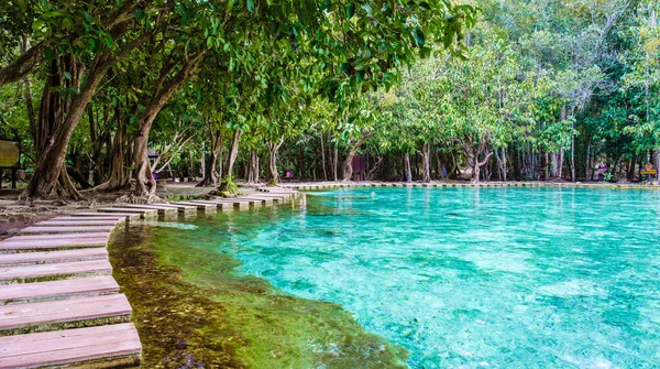 Emerald Lake Blue Pool Krabi Thailand Mangrove Forest Krabi Thailand — ストック写真