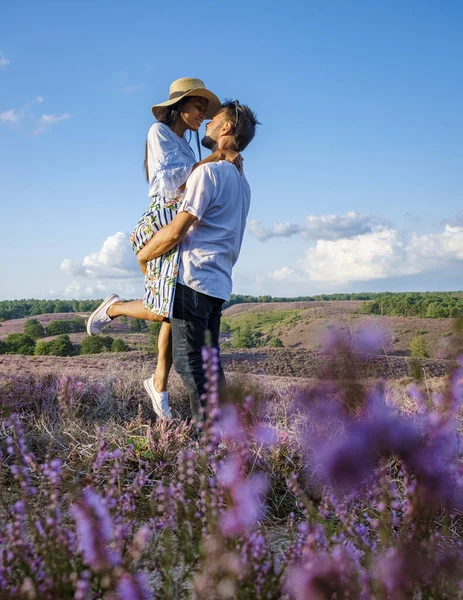 Posbank National Park Veluwe Purple Pink Heather Bloom Blooming Heater — Foto Stock