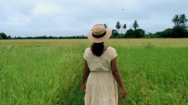 Asian women with hat in a beautiful green paddy field in Thailand, women walking at the rice field. 