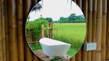 white bathtub between a beautiful green paddy field in Thailand, bath tub at a home stay farm at the rice field. 