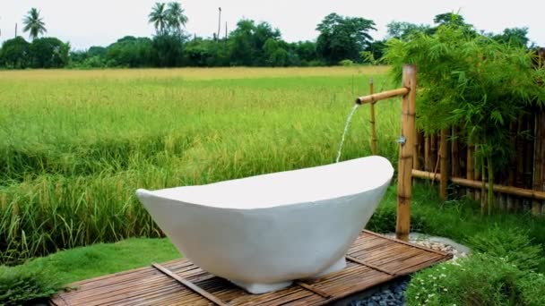 White Bathtub Beautiful Green Paddy Field Thailand Bath Tub Home — Video Stock