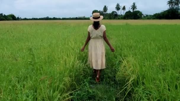 Asian Women Hat Beautiful Green Paddy Field Thailand Women Walking — Video Stock