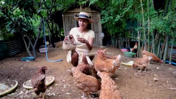Asian Women Feeding Chicken Farm Women Feeding Chicken Eco Farm — Stok video