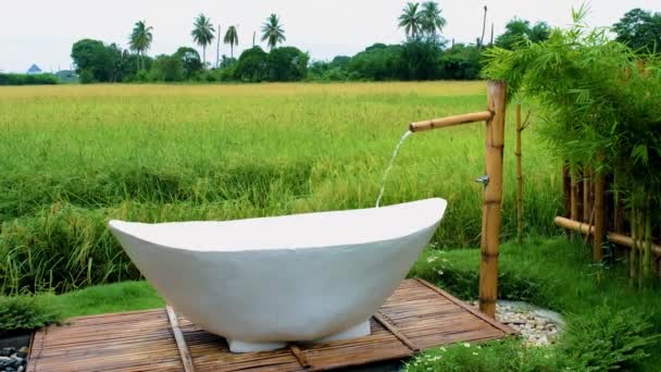 White Bathtub Beautiful Green Paddy Field Thailand Bath Tub Home — 图库视频影像