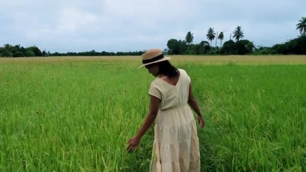 Asian Women Hat Beautiful Green Paddy Field Thailand Women Walking — Stockvideo