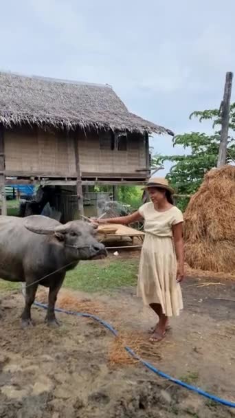 Home Stay Farm Green Paddy Fields Thailand Beautiful Farm Green — Stockvideo