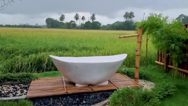 White Bathtub Beautiful Green Paddy Field Thailand Bath Tub Home — Stok video