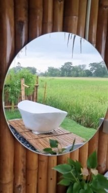 Home stay in Thailand, white bathtub between a beautiful green paddy field in Thailand, bath tub at a home stay eco farm at the rice field. 