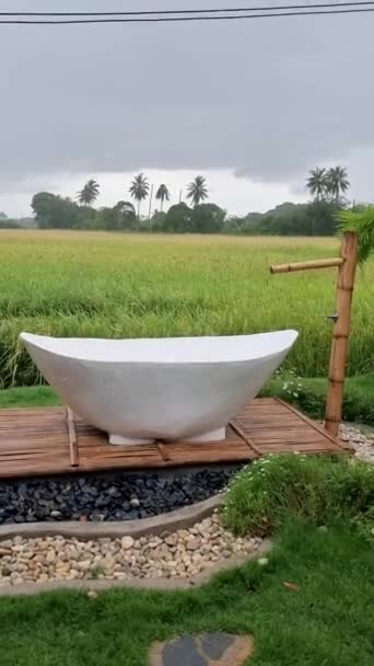 Home Stay Thailand White Bathtub Beautiful Green Paddy Field Thailand — 图库视频影像