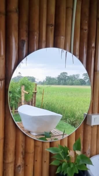 Home Stay Thailand White Bathtub Beautiful Green Paddy Field Thailand — Stok video