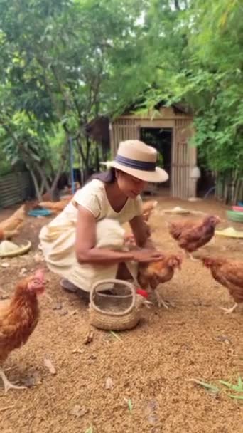 Asian Women Feeding Chicken Farm Women Feeding Chicken Eco Farm — Stok video
