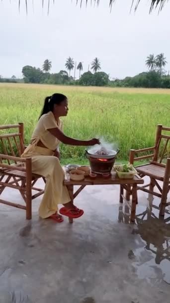 Young Asian Women Grilled Thai Pork Barbecue Pan Hut View — Vídeo de Stock