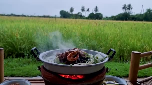 Grilling Thai Pork Barbecue Pan Hut View Rice Fields Cooking — Vídeo de Stock