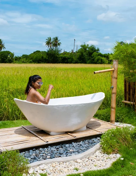 Eco Farm Homestay Rice Field Central Thailand Paddy Field Rice — Foto Stock