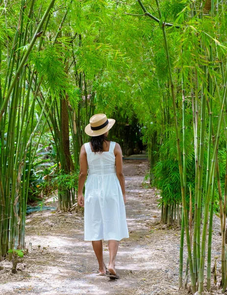 Eco Farm Homestay Rice Field Central Thailand Paddy Field Rice — 스톡 사진