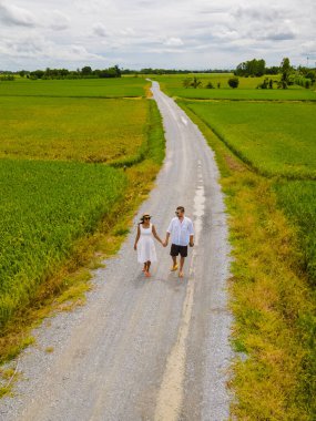 Drone aerial view of green paddy rice field in Thailand, men and woman walking road between rice fields