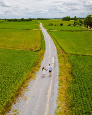 Drone aerial view of green paddy rice field in Thailand, men and woman walking road between rice fields