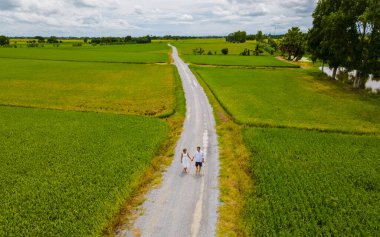 Drone aerial view of green paddy rice field in Thailand, men and woman walking road between rice fields